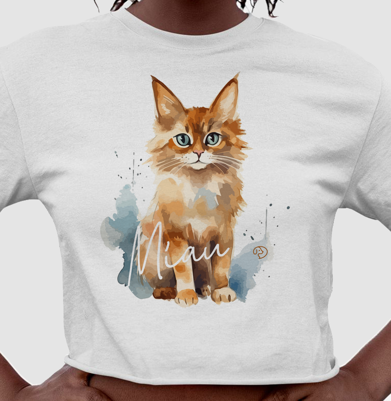 Gato Splash