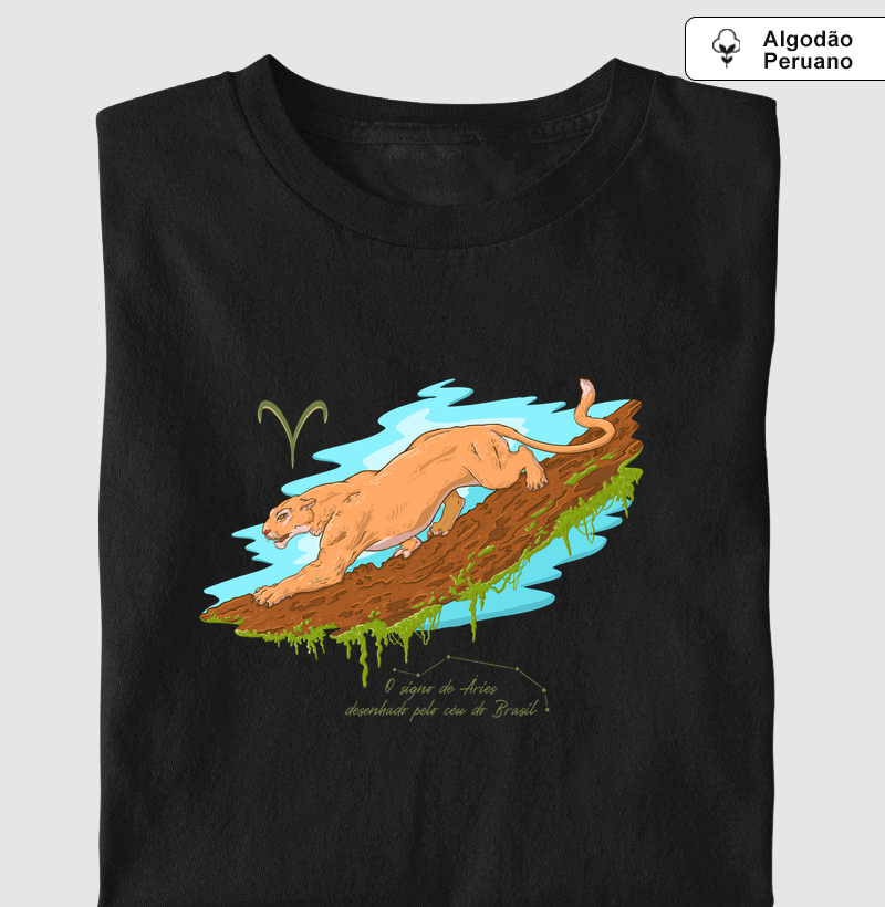 Áries pelo céu do Brasil