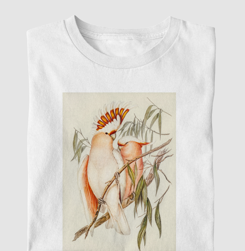 Leadbeater's Cockatoo