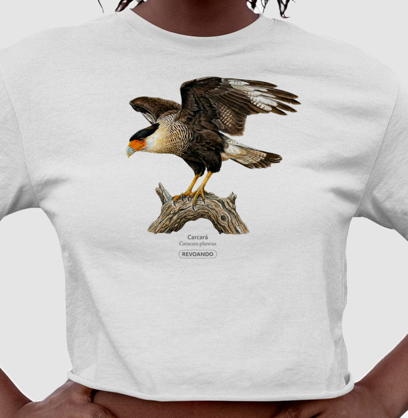 Traços Alados - Carcará - Cropped