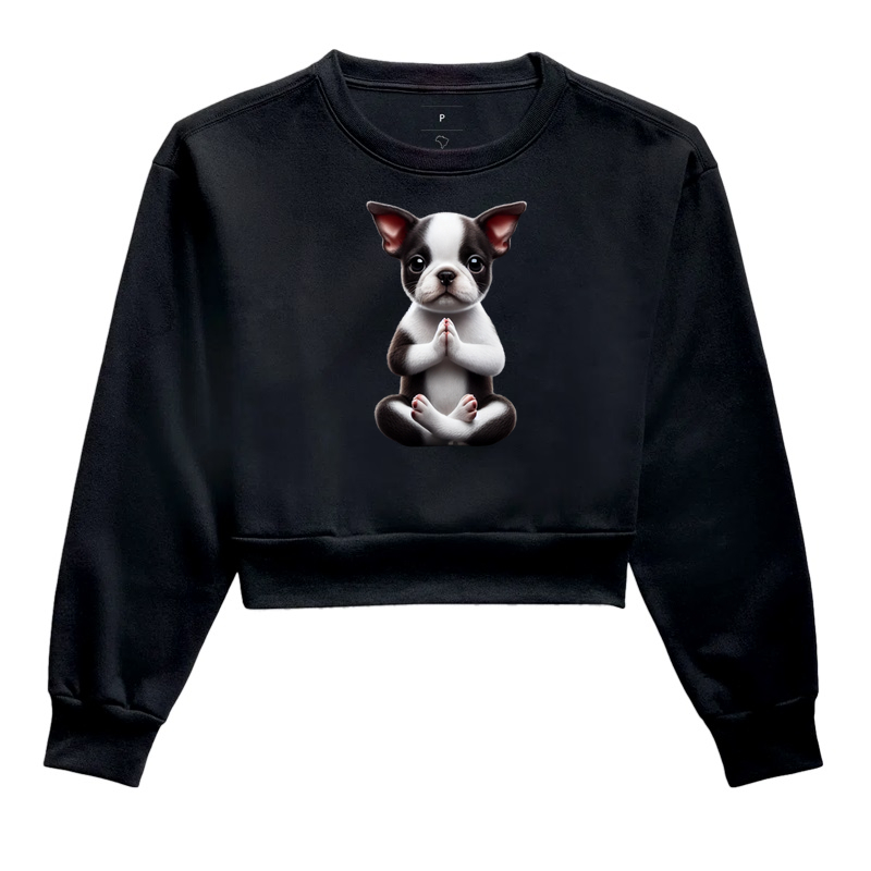 Boston Terrier Gratidão
