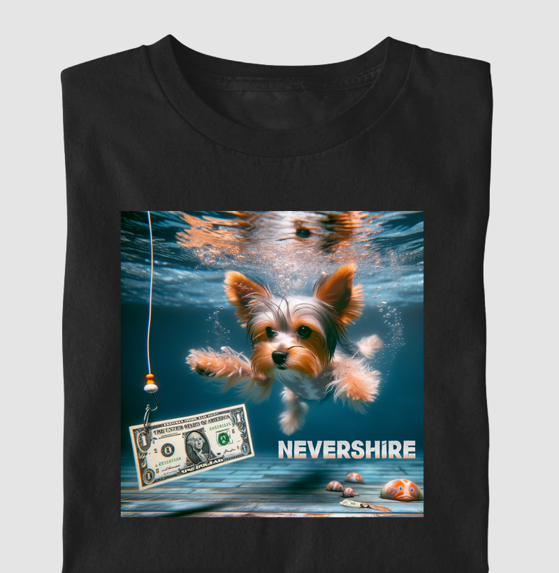Nevershire
