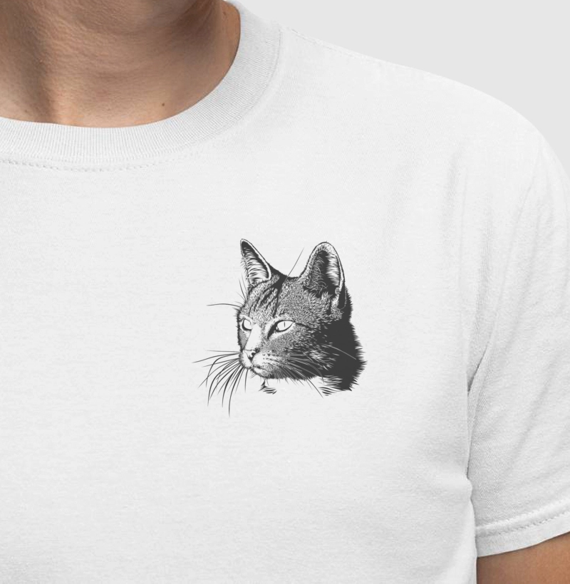Animais - Cat