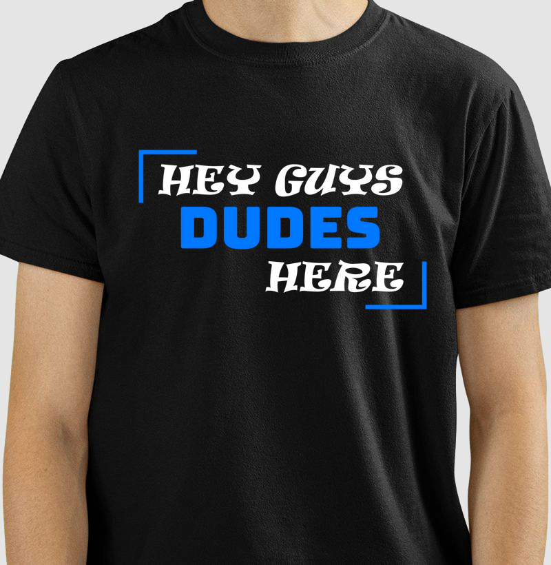 Hey Guys Dudes Here