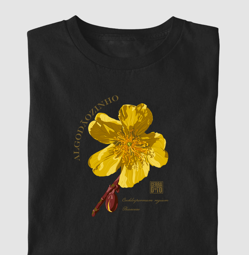 Algodãozinho Flora