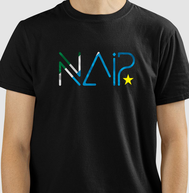 NAIP - Made in MS