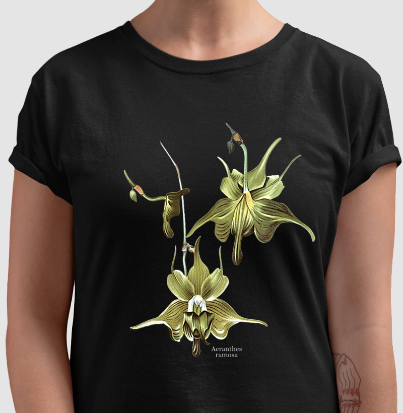 Camiseta Aeranthes ramosa
