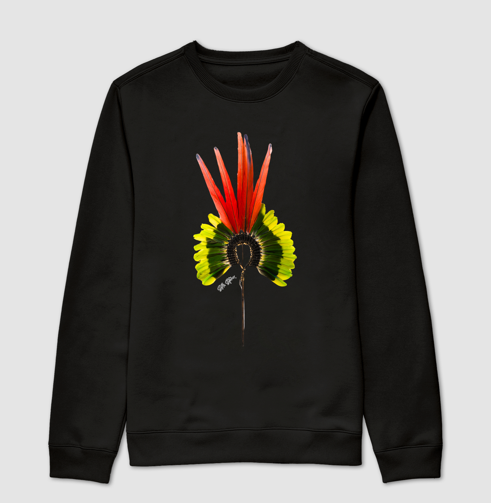 Cocar Indigena 2