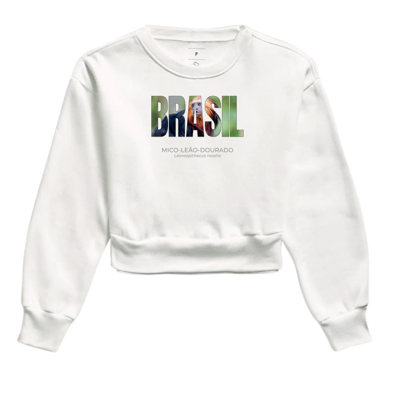 Animais do Brasil – Mico-leão-dourado