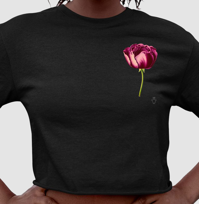 Coleção Flores