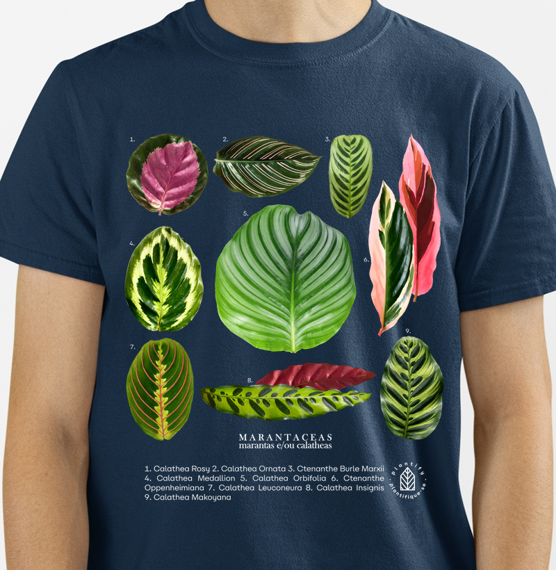 Camiseta Marantaceas