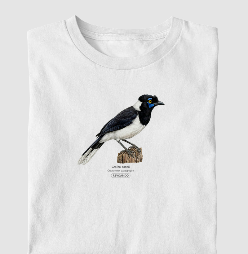 Traços Alados - Gralha-cancã