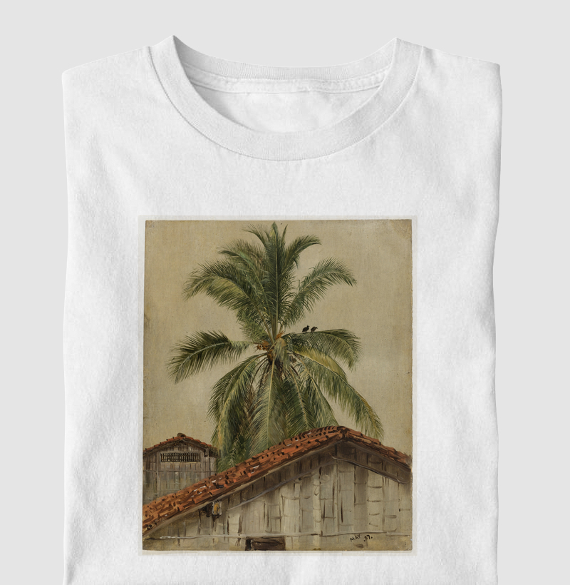 Palm Trees and Housetops