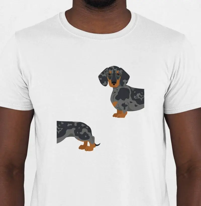 Dachshund Arlequim