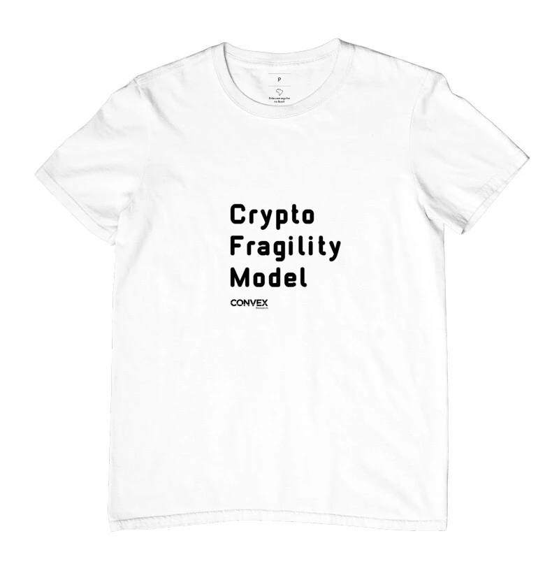 Camiseta Crypto Fragility Model