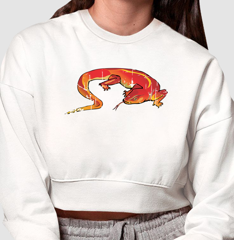 75 O Lagarto