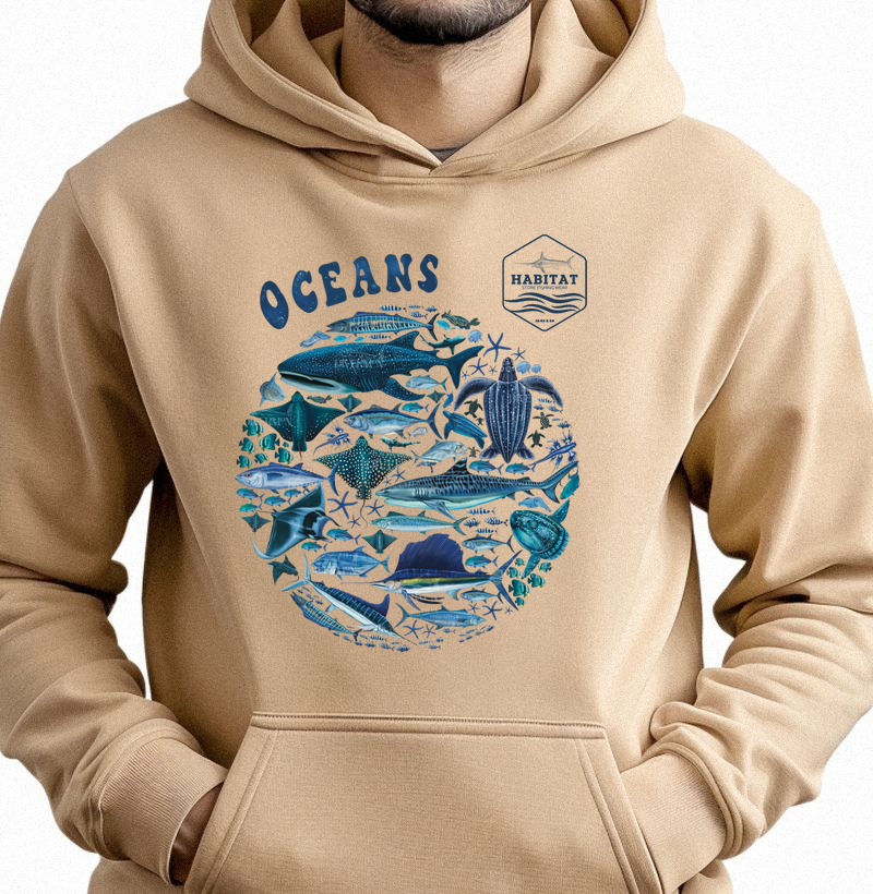 OCEANS HOODIE