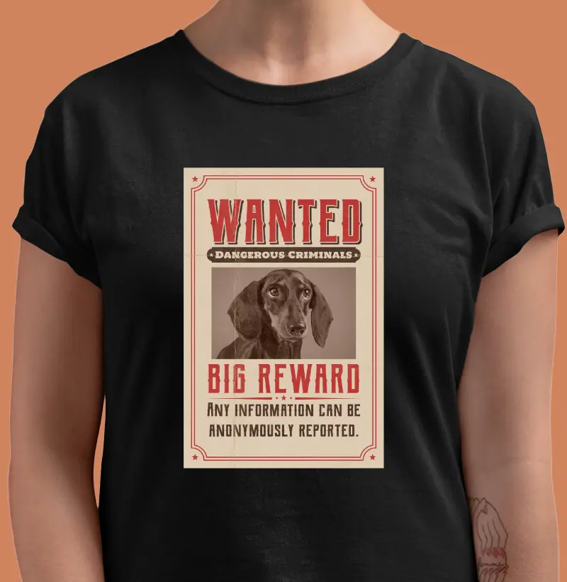 Wanted 