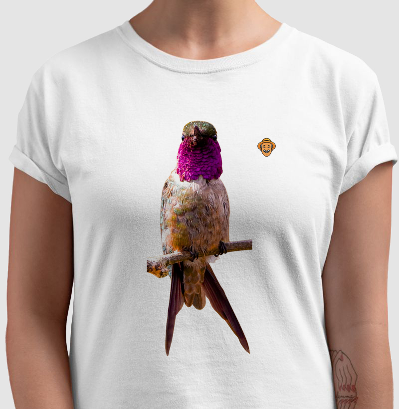 Beija-flor-de-garganta-violeta