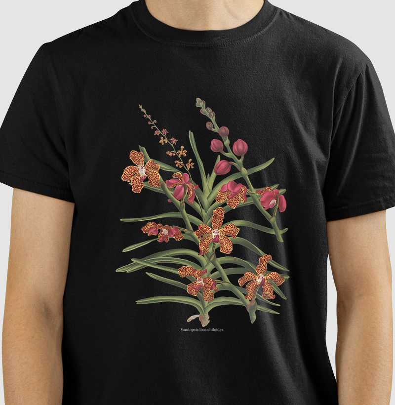Camiseta Vandopsis lissochiloides