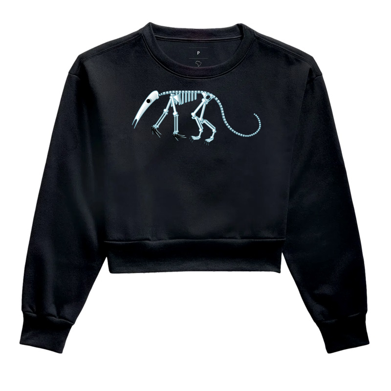 Anteater 