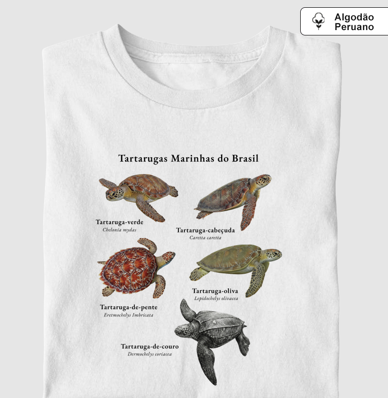 Tartarugas Marinhas do Brasil