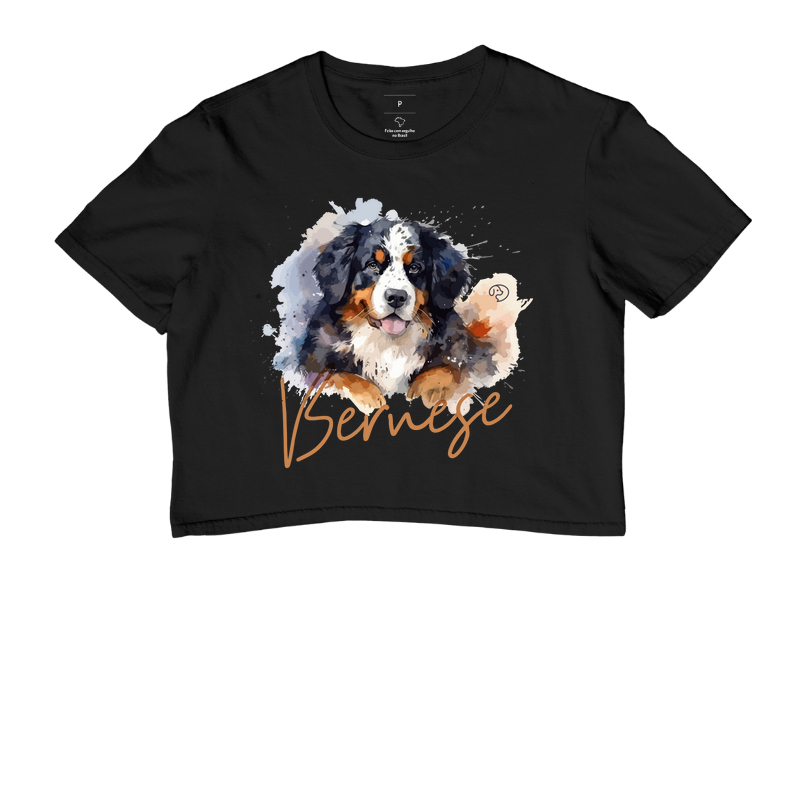Bernese Splash 2