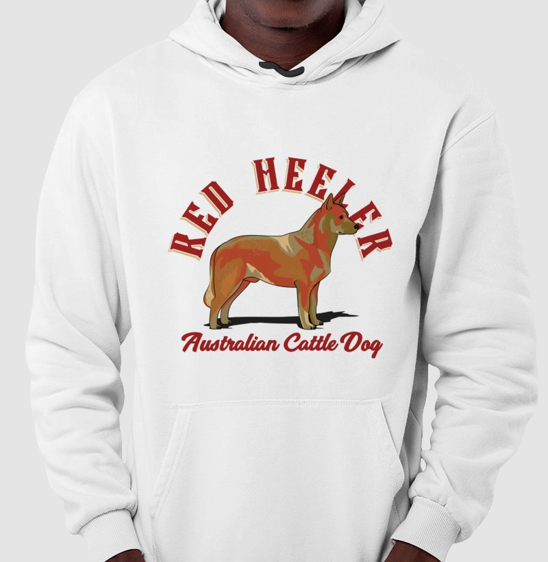Australian Cattle Dog Red