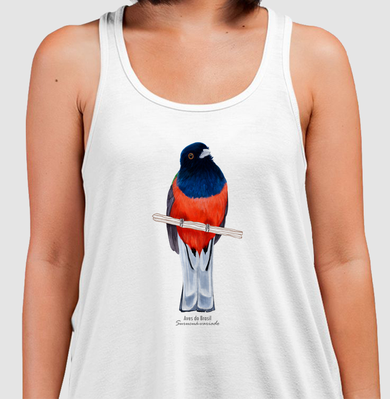 Aves do Brasil - Surucuá-variado - Regata