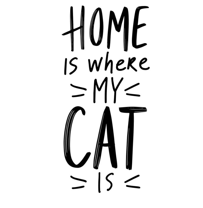 Cat home