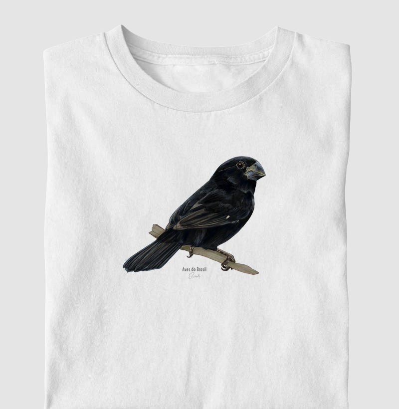 Aves do Brasil - Bicudo - Infantil