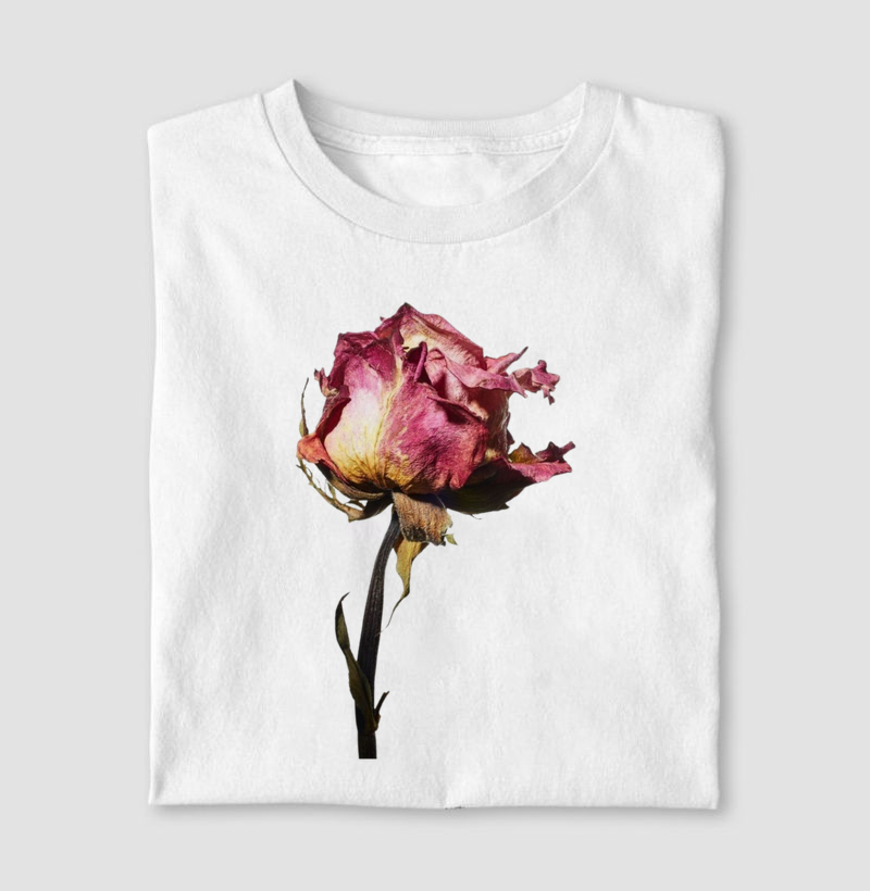 Dry Rose