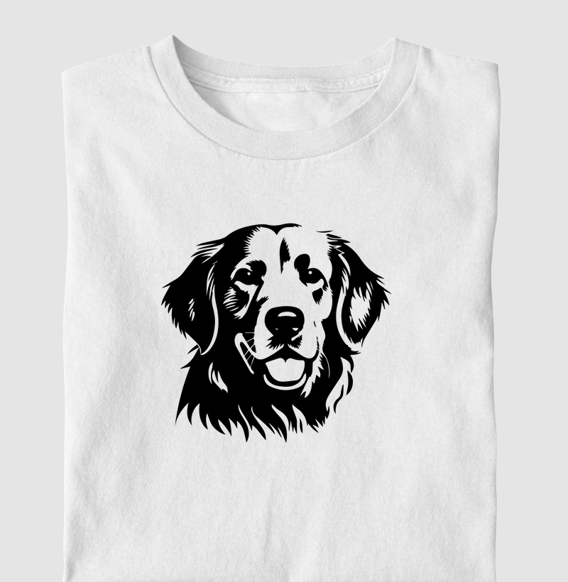 Golden Retriever 2