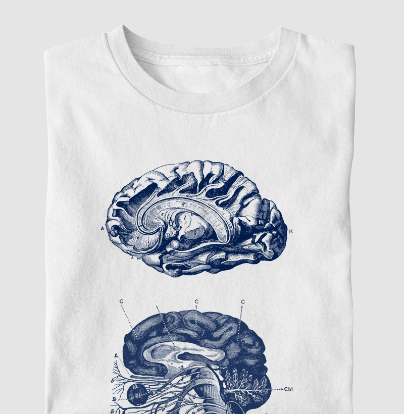 Camiseta Neuroanatomia Clara