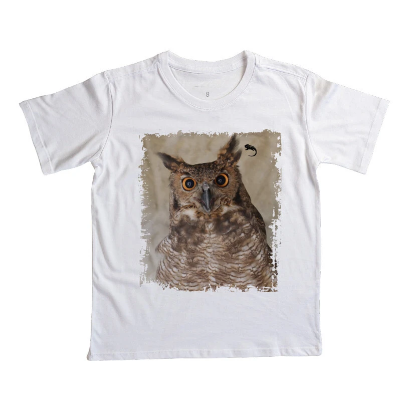 Corujão Orelhudo Mini