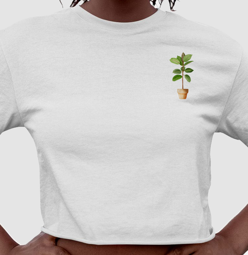 Minha plantinha