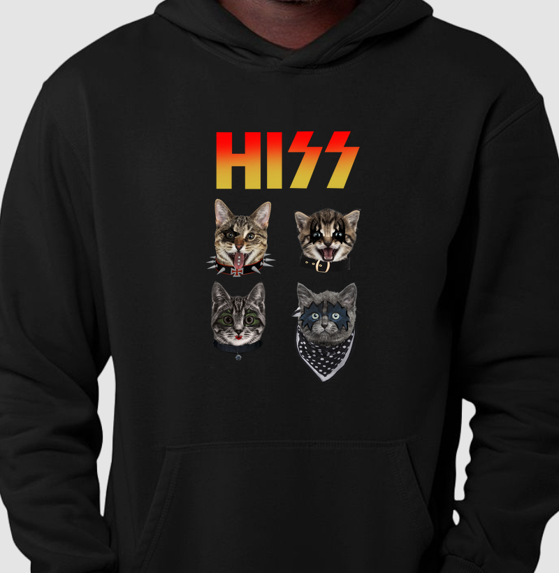 Hiss 