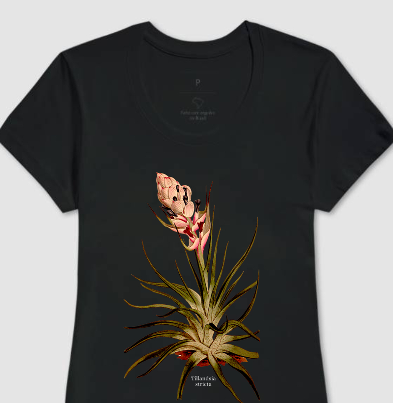 Camiseta Feminina Tillandsia stricta 