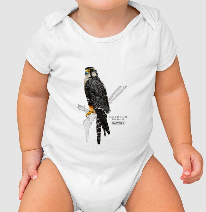 Aves do Brasil - Falcão de Coleira - Body Infantil