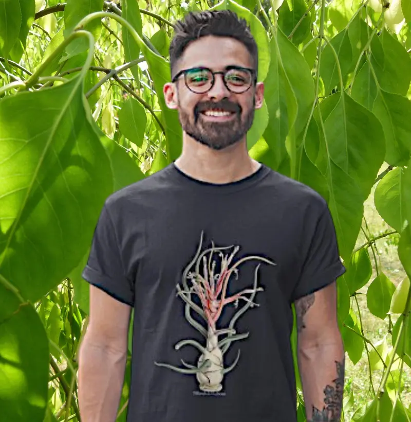 Camiseta Tillandsia bulbosa
