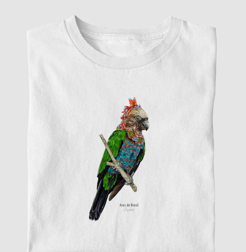 Aves do Brasil  - Anacã - Infantil