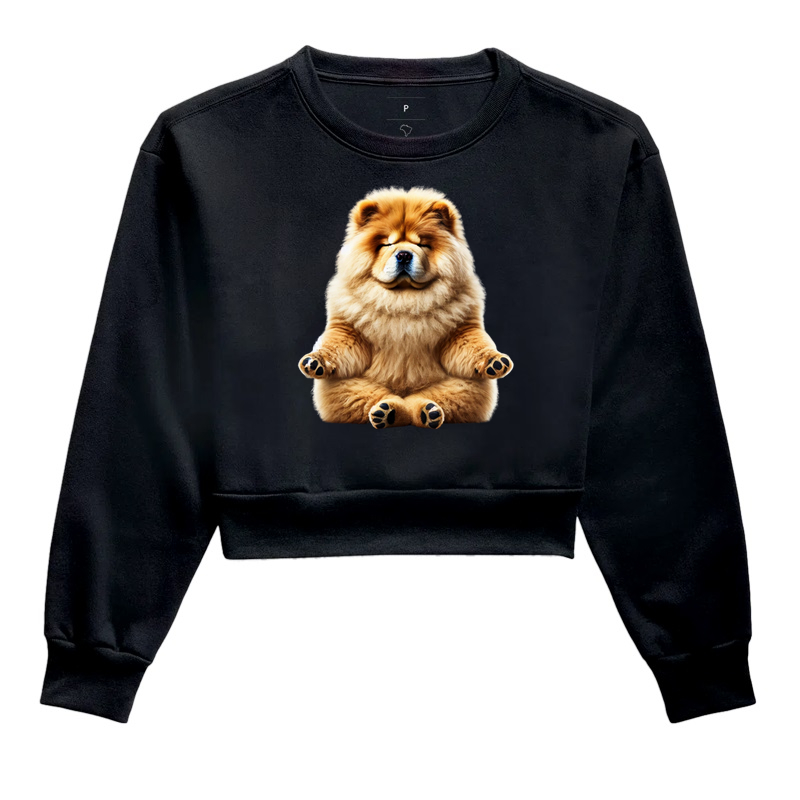 Chow Chow Meditando