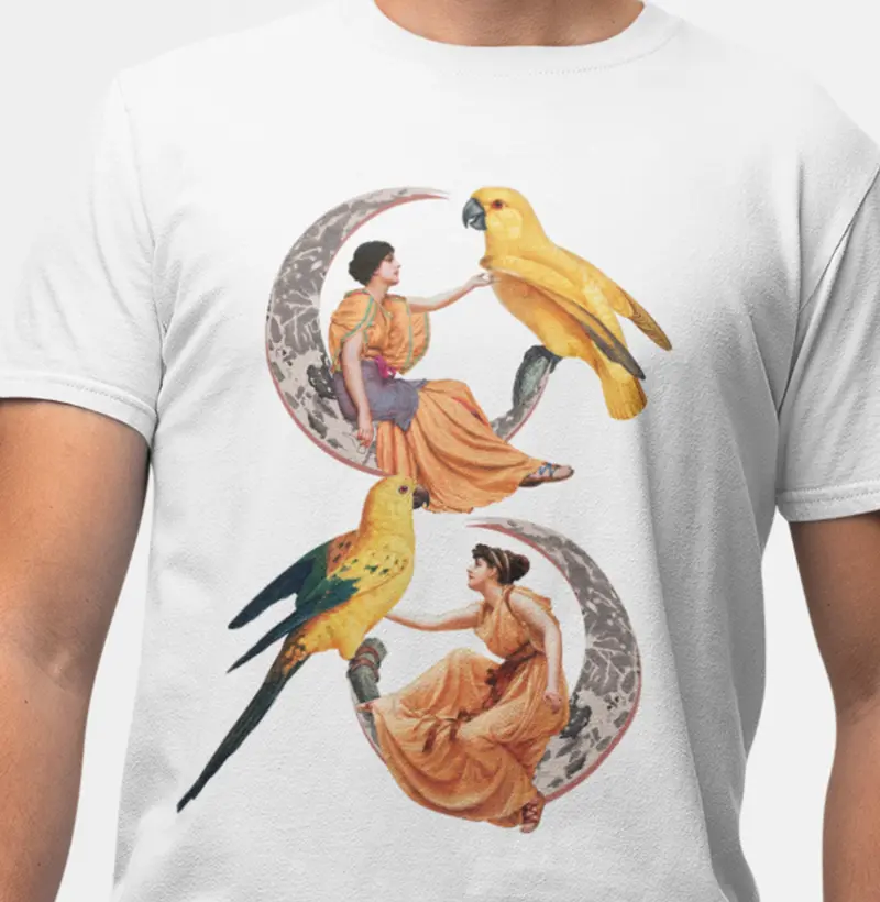 Aves da Lua I