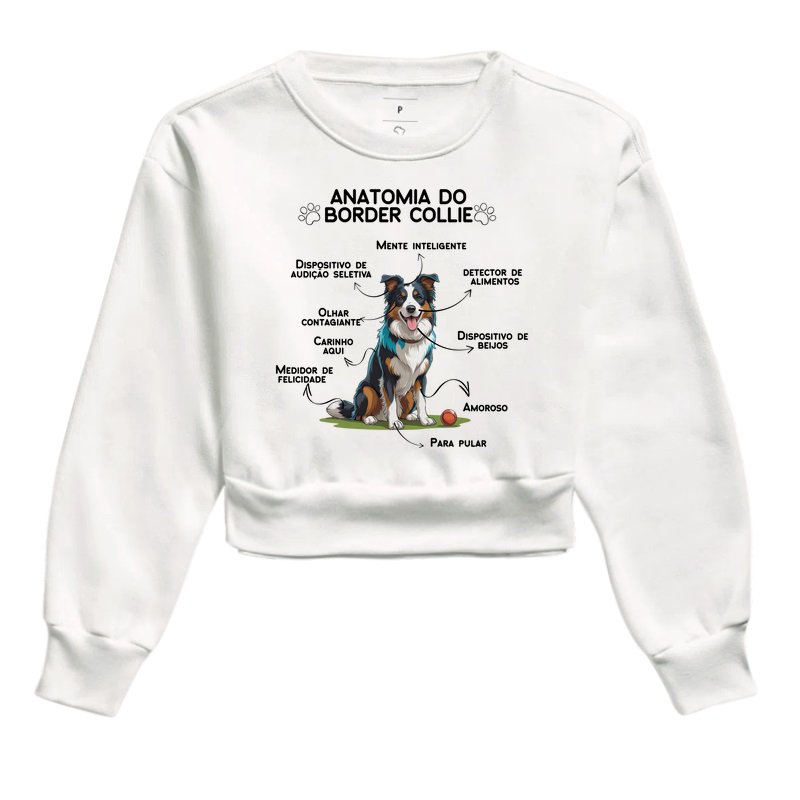 Anatomia do Border Collie