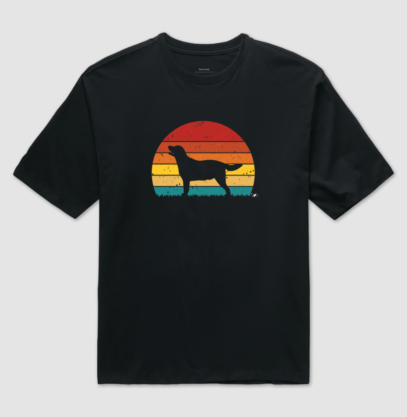 Sunset cão