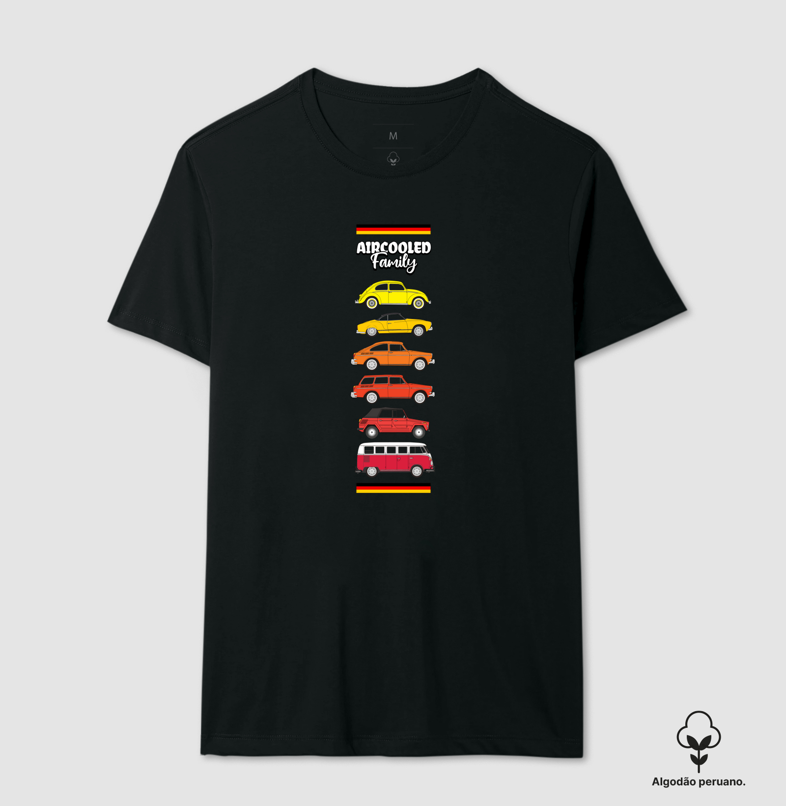 Aircooled Family