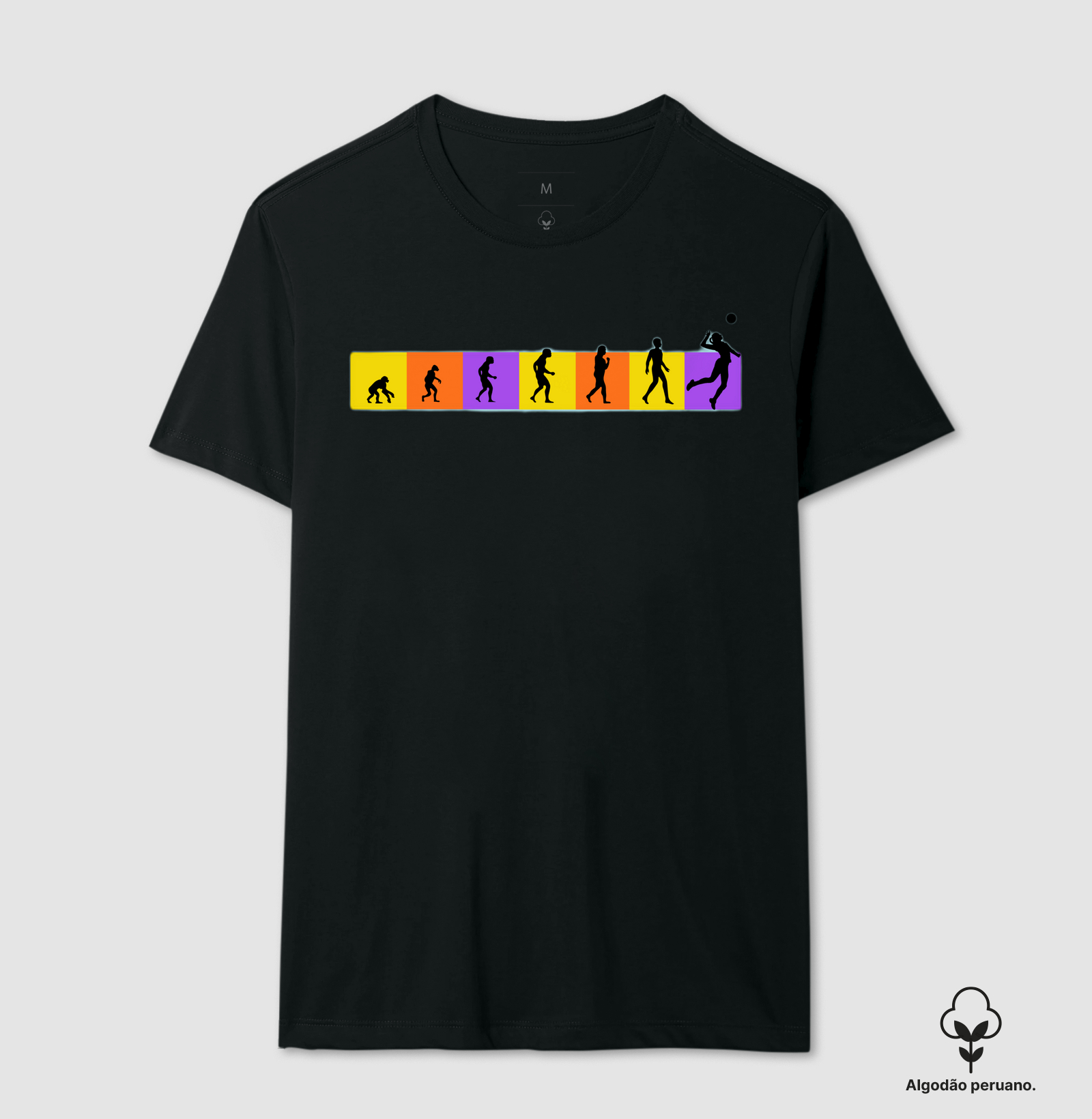 camiseta evolução