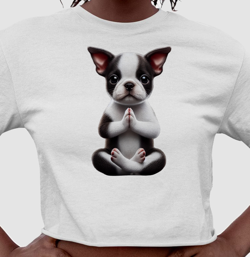 Boston Terrier Gratidão