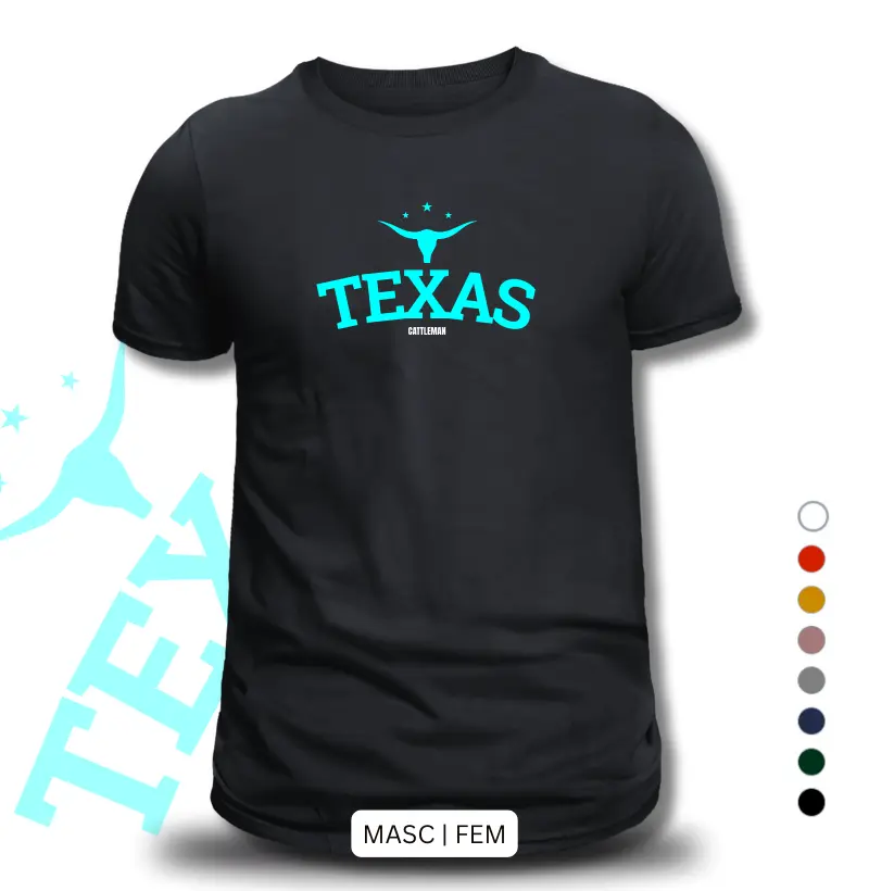 Camiseta Texas | Camiseta country