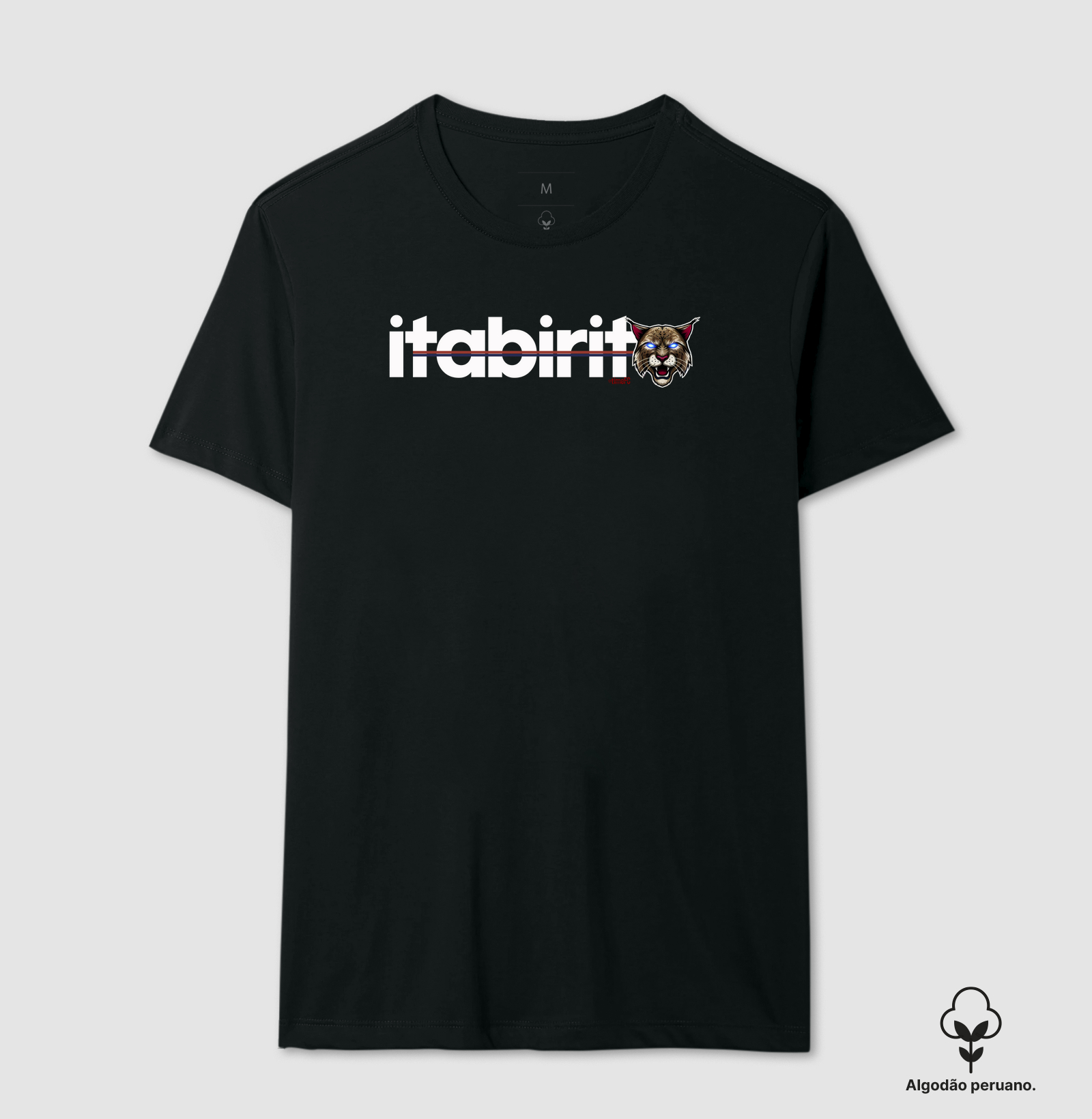 Itabirit
